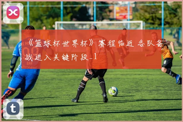 《篮球杯世界杯》赛程临近 各队备战进入关键阶段_1
